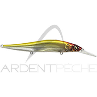 Poisson nageur MEGABASS Vision 110 +1