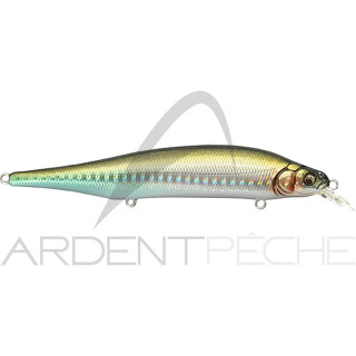 Poisson nageur MEGABASS X80 magnum