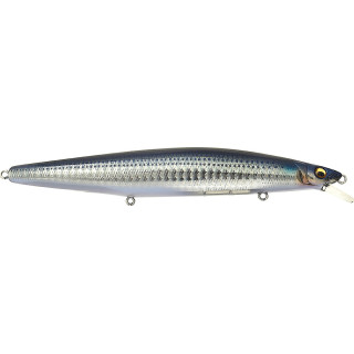 Poisson nageur MEGABASS Marine gang cookai 140 S
