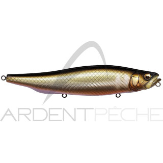 Leurre de surface MEGABASS Megadog 180