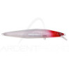 Poisson nageur MEGABASS Marine gang cookai 120 F