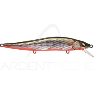 Poisson nageur MEGABASS Vision 110 FW