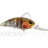 Poisson nageur DUO Realis crank 65 11A