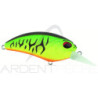 Poisson nageur DUO Realis crank M62 5A