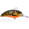 Poisson nageur DUO Realis crank M62 5A