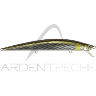 Poisson nageur DUO Tide minnow 120 slim