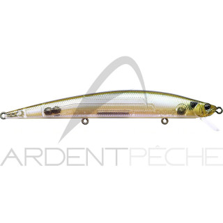 Poisson nageur DUO Tide minnow 120 slim