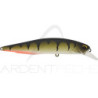 Poisson nageur DUO Realis Jerkbait 100 SP