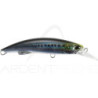 Poisson nageur DUO Rough trail blazin 85 S