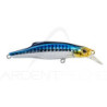 Poisson nageur JACKSON Pin tail 20