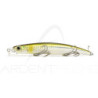 Poisson nageur DUO Terrif DC-12 Type 1