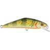 Poisson nageur SMITH D Contact 85