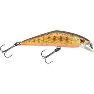 Poisson nageur SMITH D Contact 63 FES